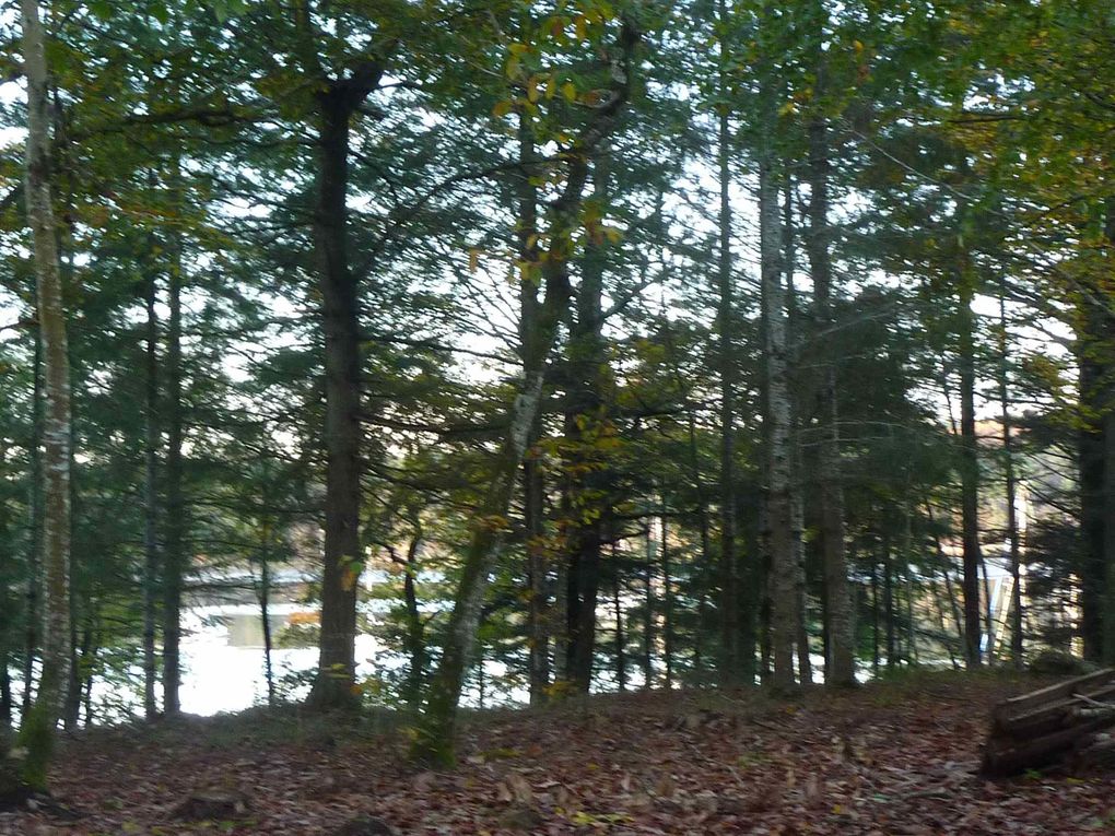 Album - Coet-Kaloun-Propriété- Une presqu'île dans les bois et  bordée par la rivière d'Auray