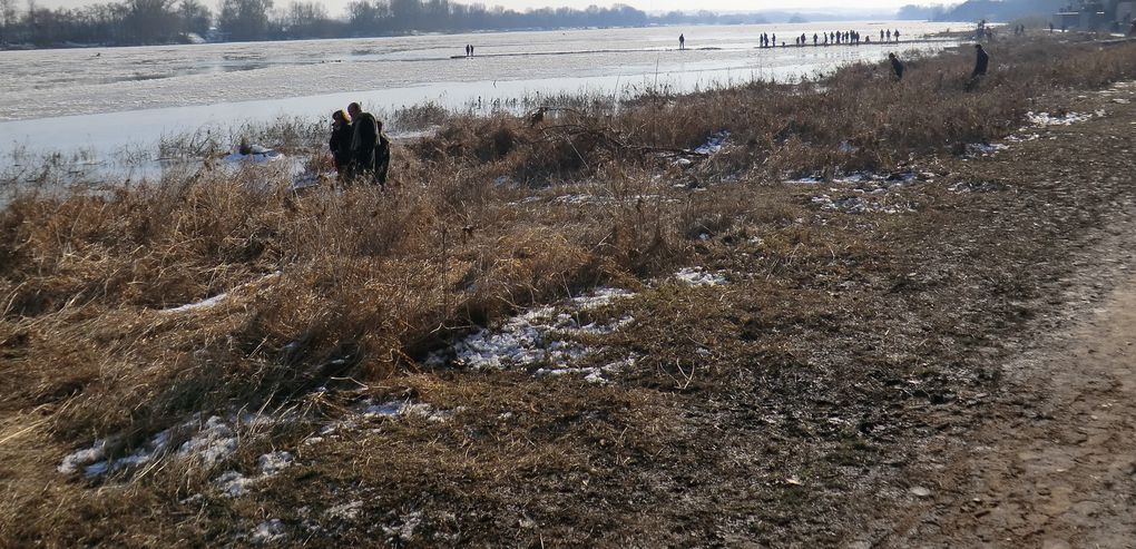 Après la couche de neige que l'Angevine a apprécié ce mois de février,vers La Pointe de Bouchemaine,la Loire offre un cocktail rafraîchissant....