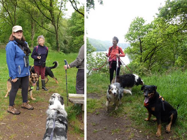 Randonnée canine au Lac de Saint-Barthélémy