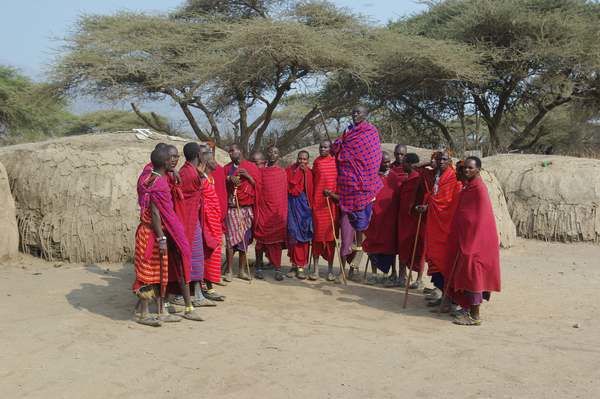 Quelques animaux rencontrés dans les parcs lors de notre voyage de noces.
K = Kenya
T = Tanzanie