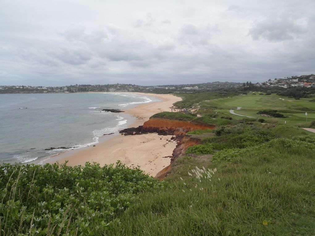 Album - SYD---LONG-REEF-BEACH