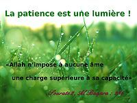 La Patience Est Une Lumiere L Islam Authentique Selon Le Qou Ran Et La Sounna Avec La Comprehension Des Pieux Predecesseurs Bonne Visite Bienvenue Sur Le Site Convertistoislam L Islam Authentique Selon Le