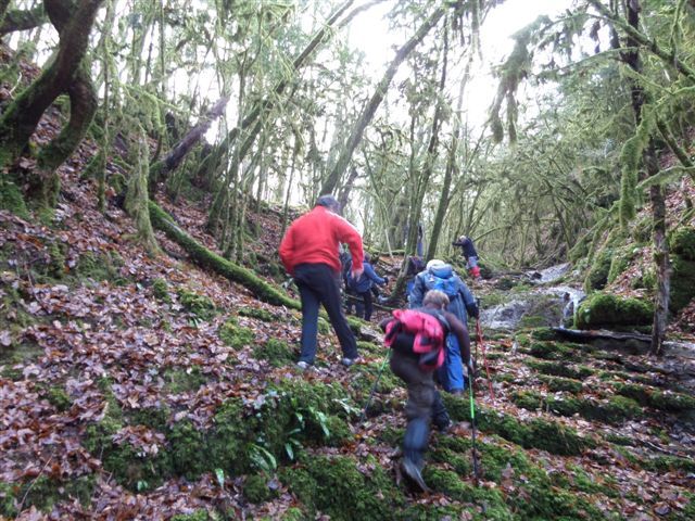 La remontée du ruisseau 