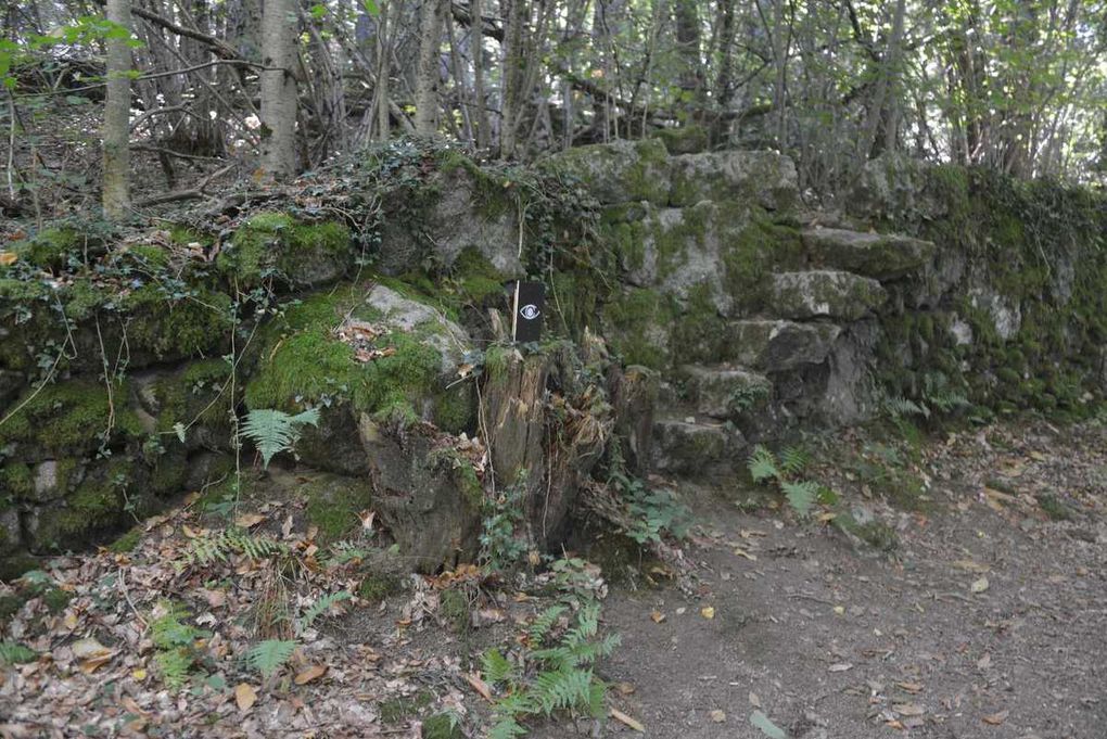 Les chemins bordés de murets.