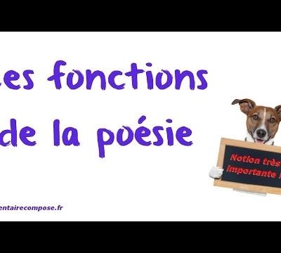 les fonctions de la poésie
