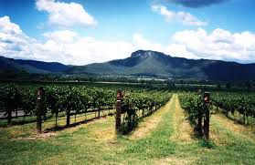 #Cabernet Franc Producers Hunter Valley Vineyards Australia