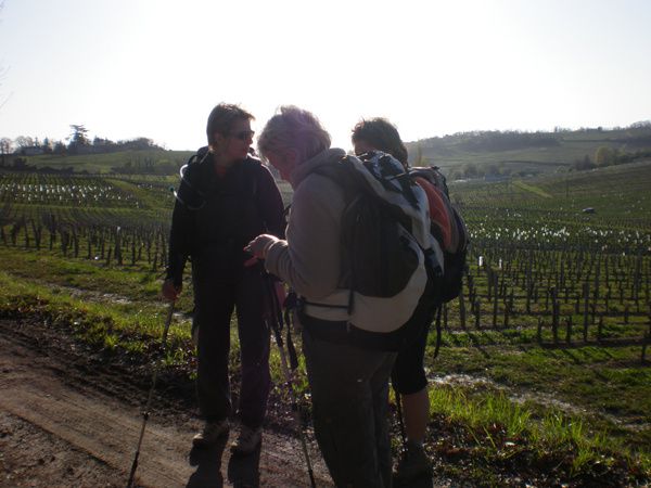 Une très agréable balade autour de Villegouge en partant de Fronsac