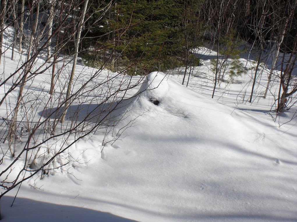 du 2 février au 5 février 2012