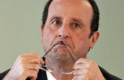 Franfran la tulipe! où (la radioscopie d'Hollande en photos)