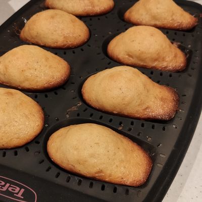 Mes madeleines sans gluten vanille au cake factory. 