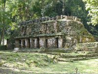 Palenque: beautiful ruins and chikungunya...