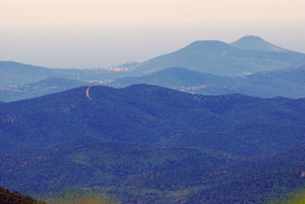 Album - Massif-des-Maures