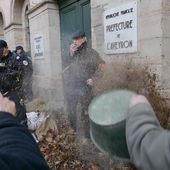 Fou mais vrai : la police poursuit un manifestant pour " jet de feuilles d'origine végétale "