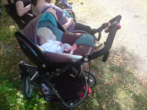 Petit Bebe Deviendra Grand Des Avis Du Partage Des Petits Episodes De Ma Vie De Maman Saupoudres D Un Peu D Humour