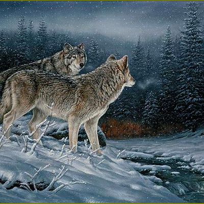 Les loups par les peintres  -  Rosemary Millette
