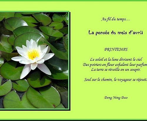 Bon Mois D Avril Cha Bricole