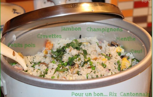 Riz cantonnais