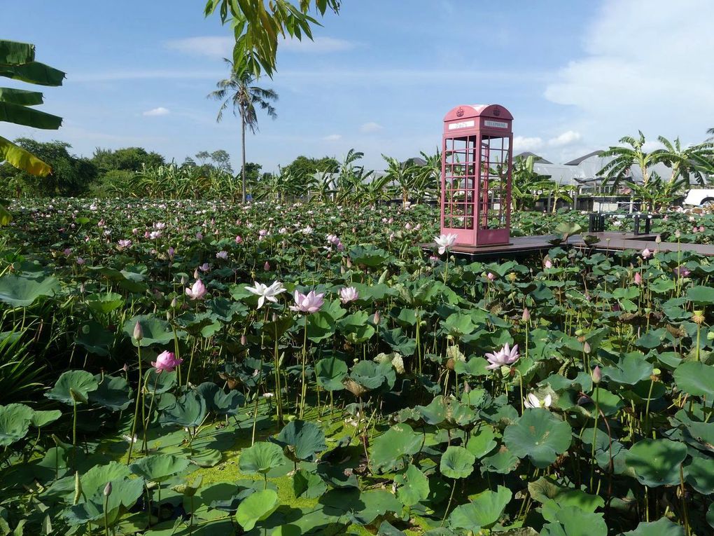 Balade à Takian Tiah et Banglamung