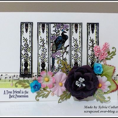 CARTES OISEAUX