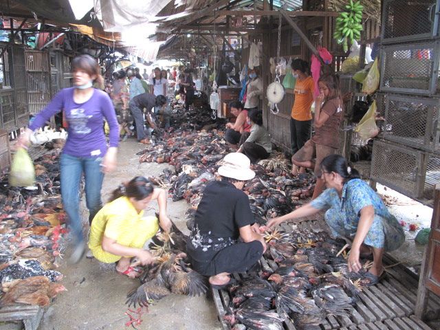 Album - 021-CAMB-Phnom-Penh