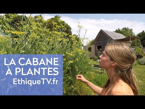 Juliette vit de la culture de ses plantes sauvages !