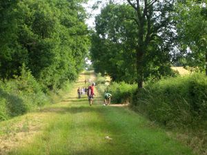 Marche d’été à Feusines