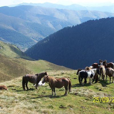 paysage de montagne avant la neige