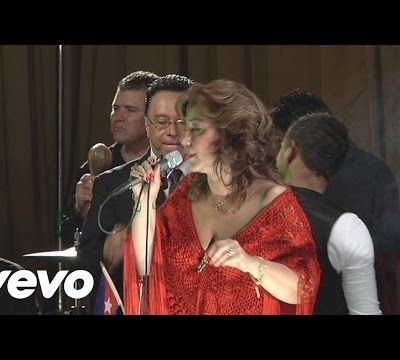 Raquel Zozaya - El Yerberito Moderno 