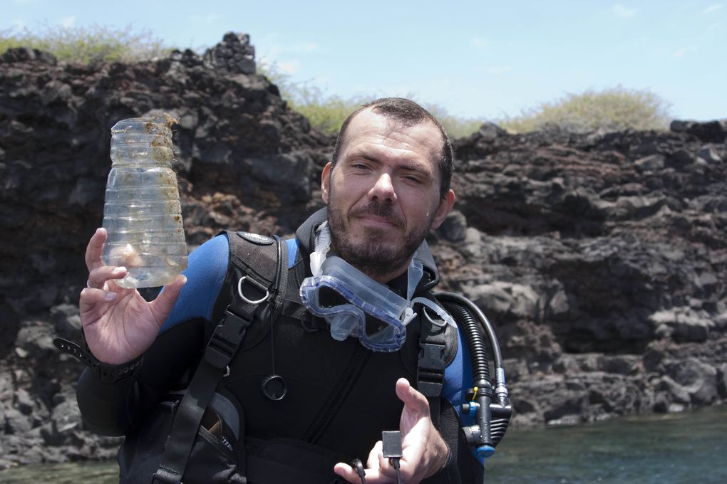 Méthode de suivi environnemental au Cap la Houssaye (Réunion) permettant d’évaluer l’état de santé d’un récif et de détecter des changements
écologiques liés à des perturbations naturelles ou humaines.