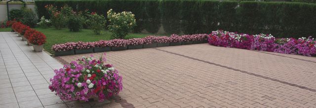 Des fleurs en gros et en détail.