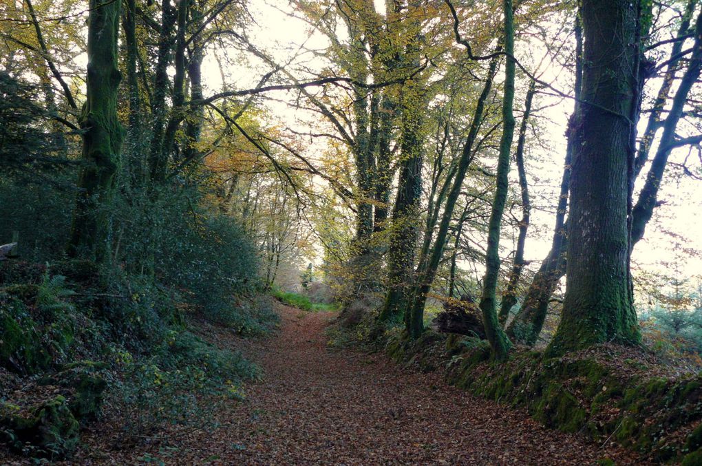 Album - Chemins creux d'Argoat