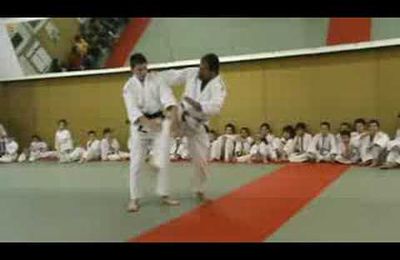 prise de judo à la volée