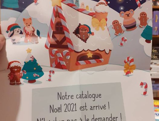 LA CATALOGUE JANOD EST ARRIVE AU MAGASIN