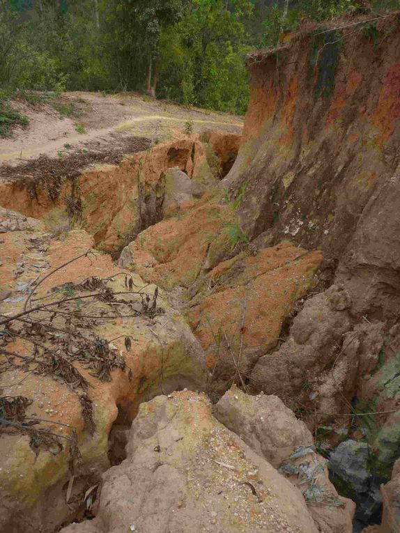 Album - chiang-mai-trekking