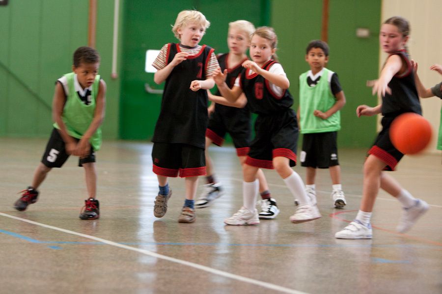 Diverses photos de l'équipe des mini-poussins de la saison 2009-2010