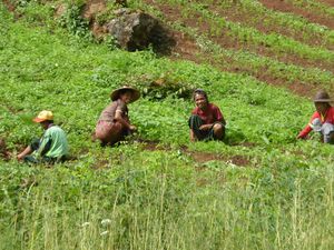 Myanmar