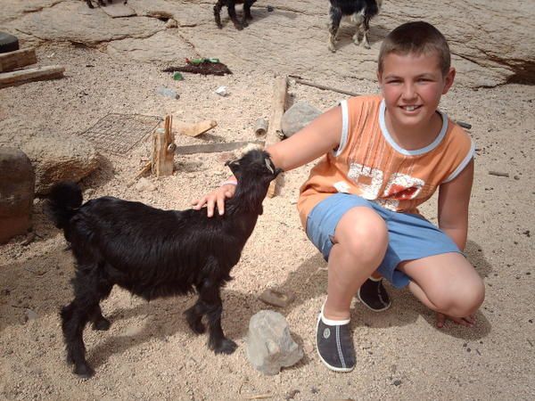 Album - a-la-rencontre-des-bedouins