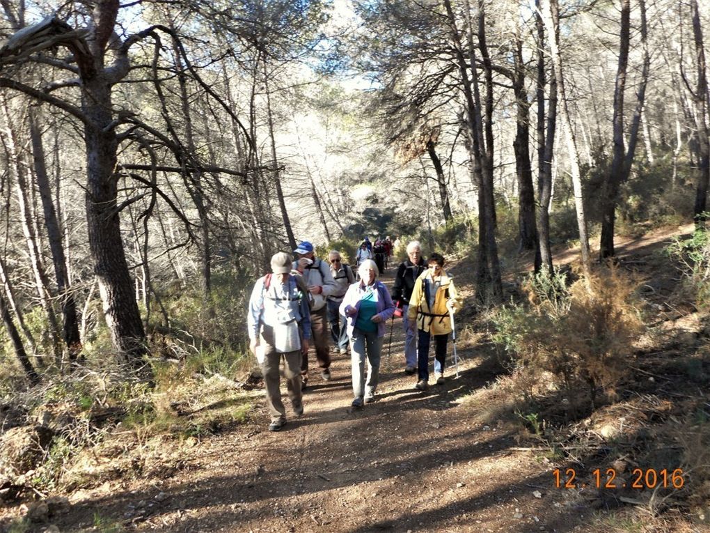 D'Allauch le Logis neuf, le circuit de la Moure en rando!