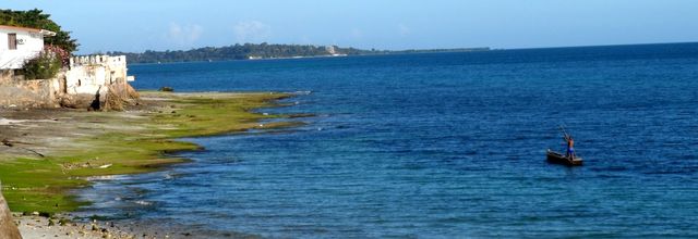 Zanzibar, Stone Town, carrefour des mondes