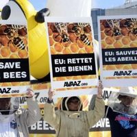 Une manifestation devant les institutions européennes la veille de la décision du "comité d'experts" n'aura pas permis d'emporter une décision favorable aux abeilles et aux apiculteurs