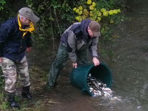 Le Pêcheur Barbezilien donne un coup de pouce au milieu aquatique !