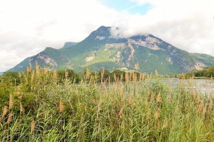 02/07/2017 Morestel Hières sur Amby 54 km