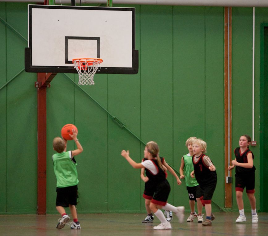 Diverses photos de l'équipe des mini-poussins de la saison 2009-2010