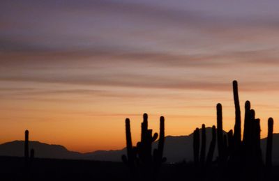 Cafayate