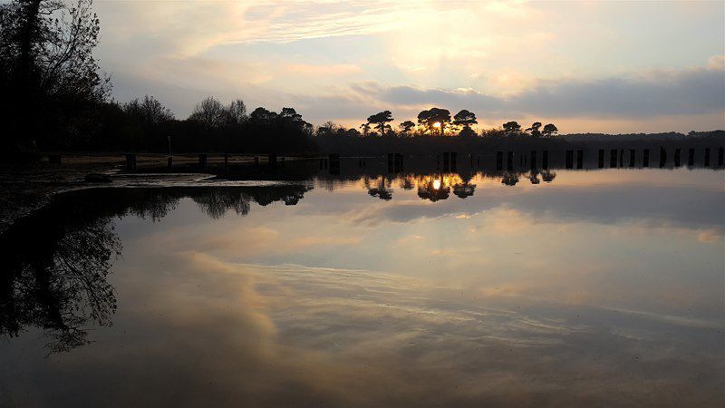 Lac de Parentis (40)