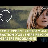 Extraction d'or : entre préciosité et désastre programmé. Aurore Stéphant