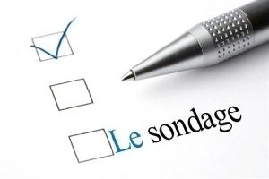 Sondage - Que feriez-vous si la directive était appliquée ?