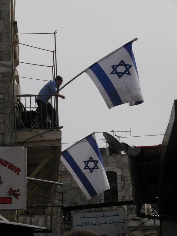 Jérusalem, Hebron, Aïda,Kalandia, Silouane... colonies, Résistance...