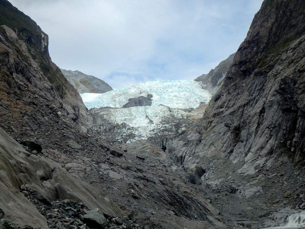 Haast-les glaciers-Panakaiki