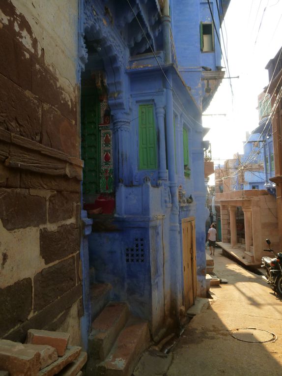 Album - Jodhpur, la Ville bleue